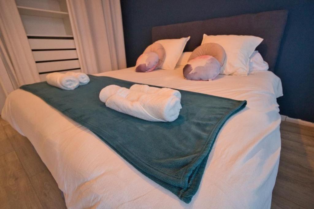 Apartament *Grand T3*Lumineux*Vue*Parking* Tuluza Zewnętrze zdjęcie